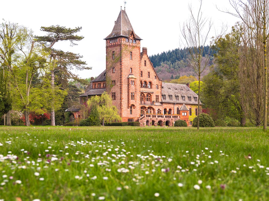 Ein großes, historisches Schloss aus Backstein (Schloss Saareck) mit einem hohen Turm steht umgeben von grünen Rasenflächen, Bäumen und entfernten bewaldeten Hügeln. Weiße Wildblumen sind über das Gras im Vordergrund verstreut.